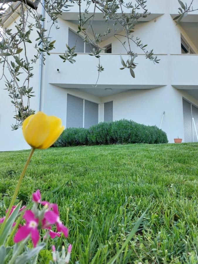 Apartment Fiorella Porec Exterior photo